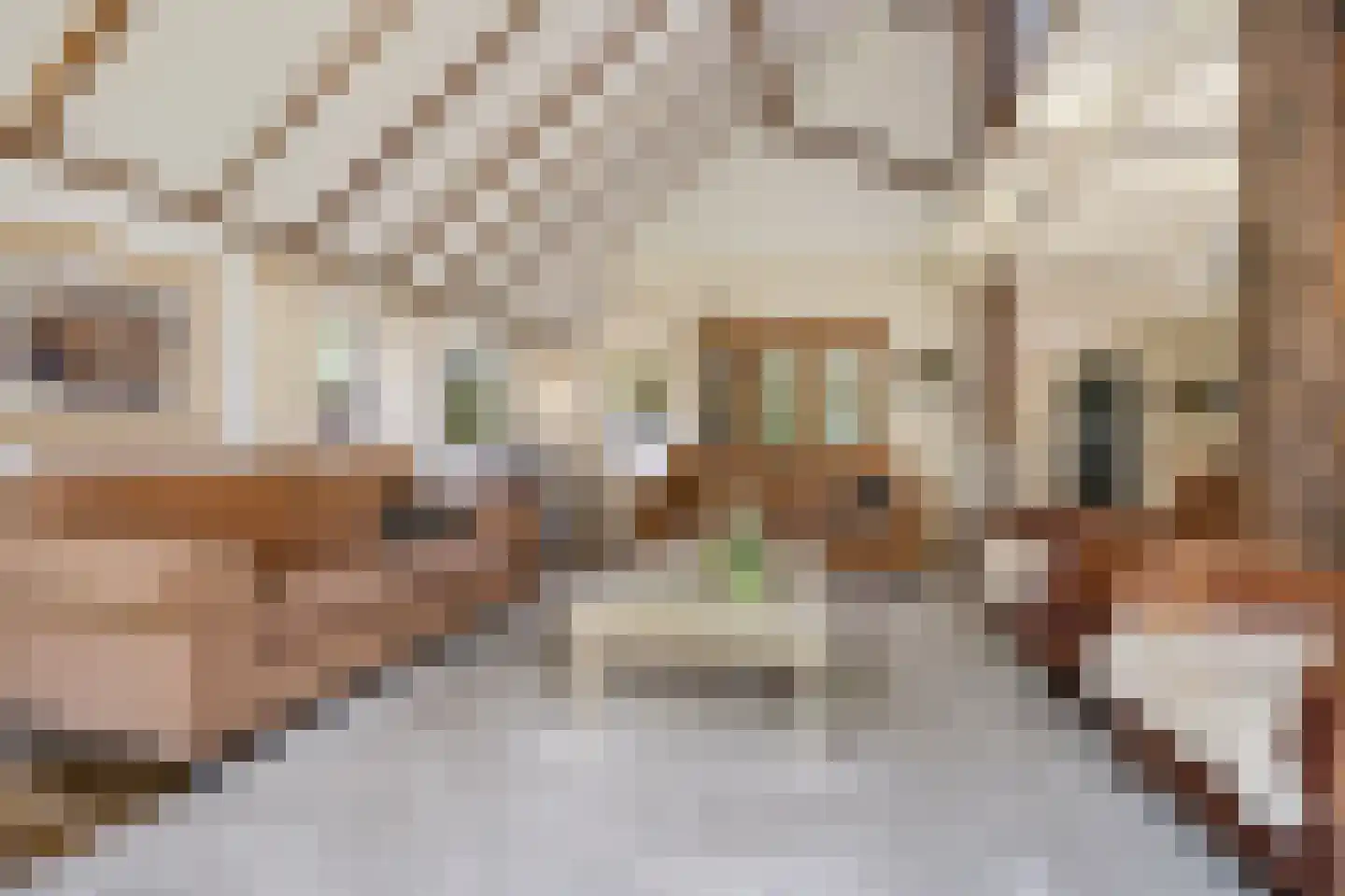 Vijzelweg 7 Eext thumbnail 15