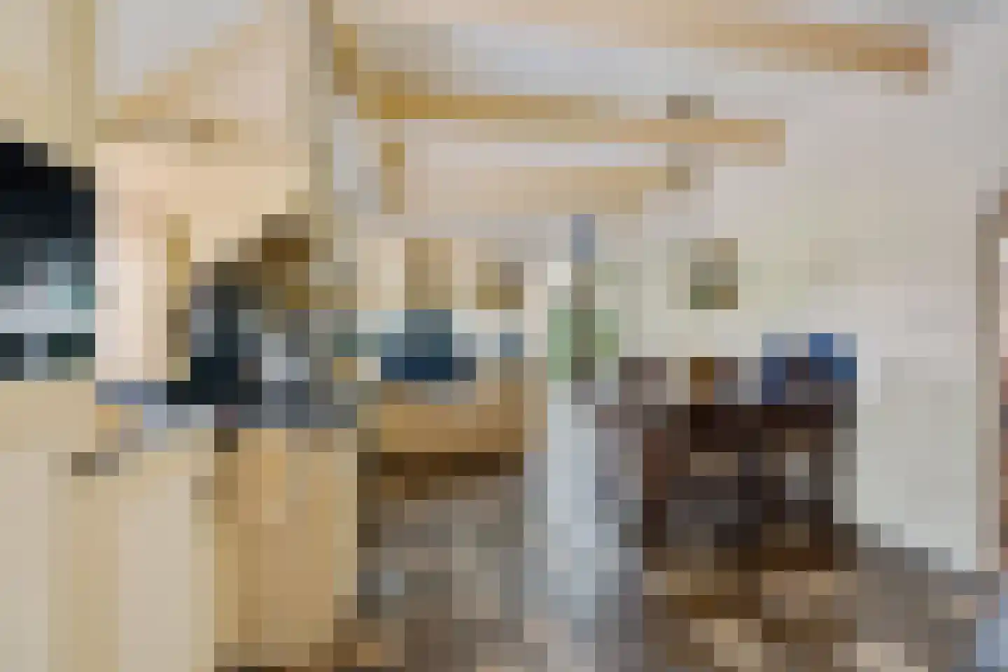 Vijzelweg 7 Eext thumbnail 21