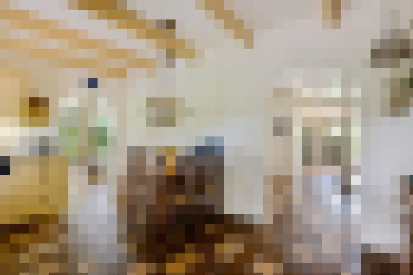 Vijzelweg 7 Eext thumbnail 23