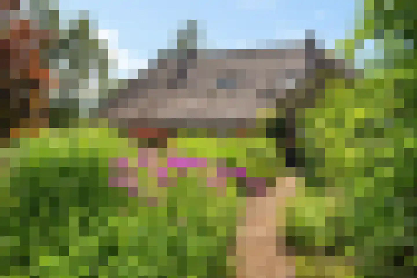 Vijzelweg 7 Eext thumbnail 48