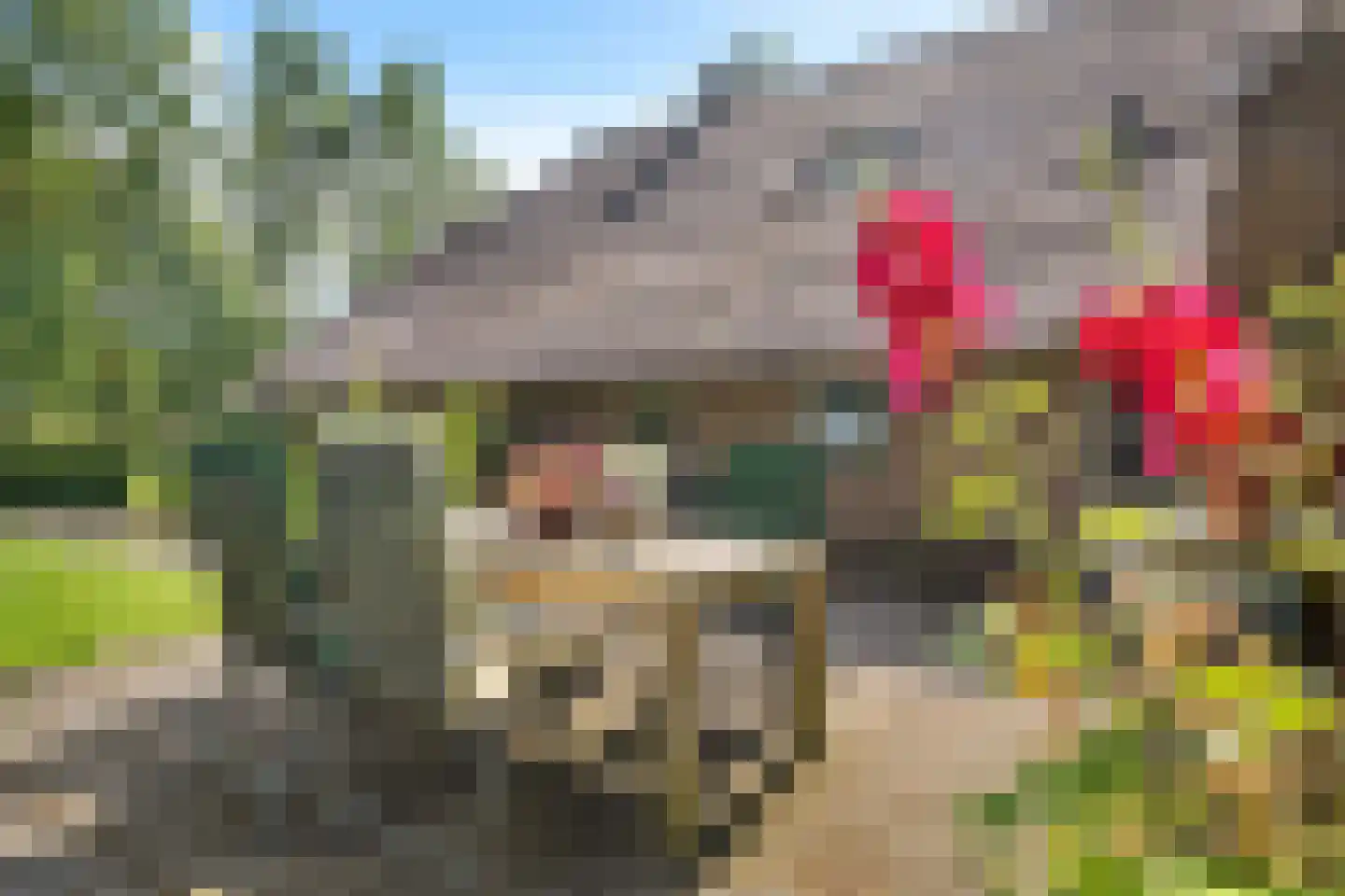 Vijzelweg 7 Eext thumbnail 49