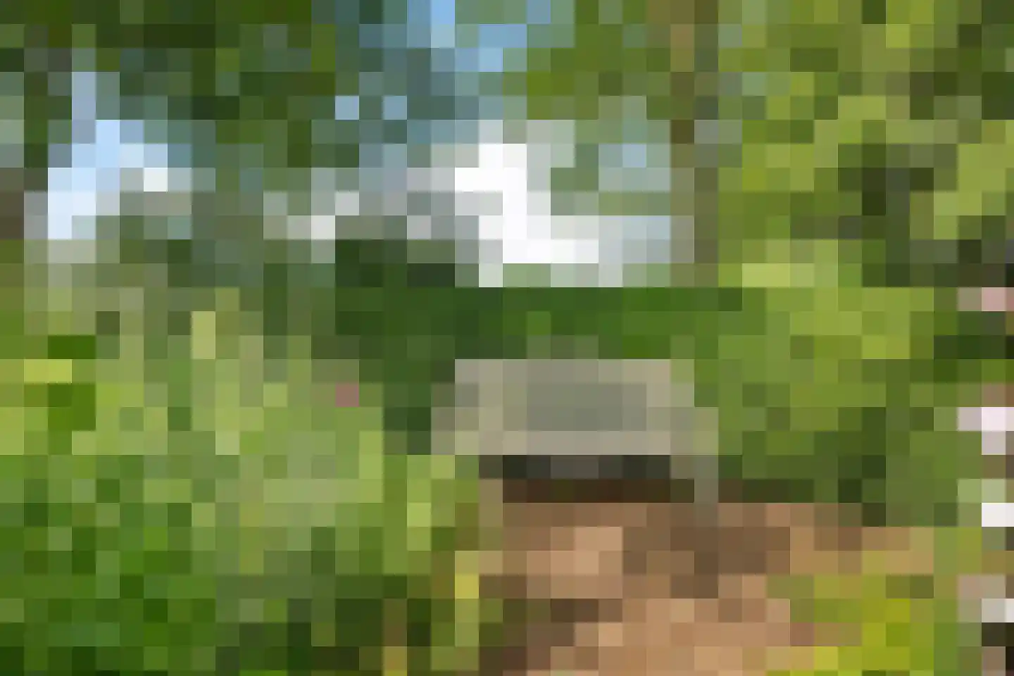 Vijzelweg 7 Eext thumbnail 50