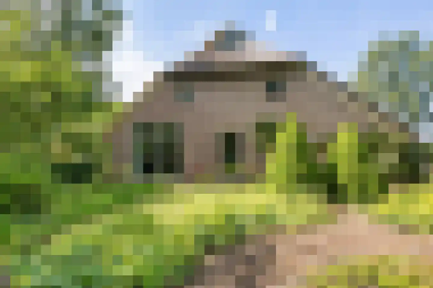 Vijzelweg 7 Eext thumbnail 53
