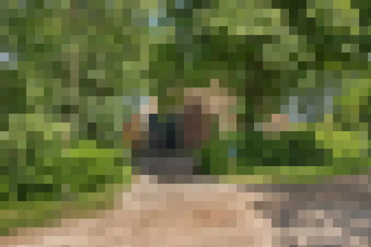 Vijzelweg 7 Eext thumbnail 55