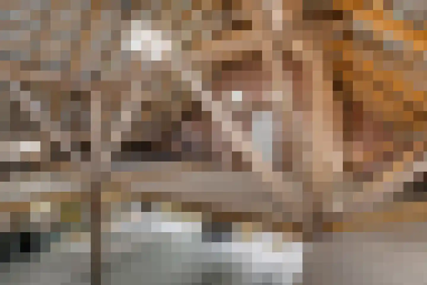 Vijzelweg 7 Eext thumbnail 59
