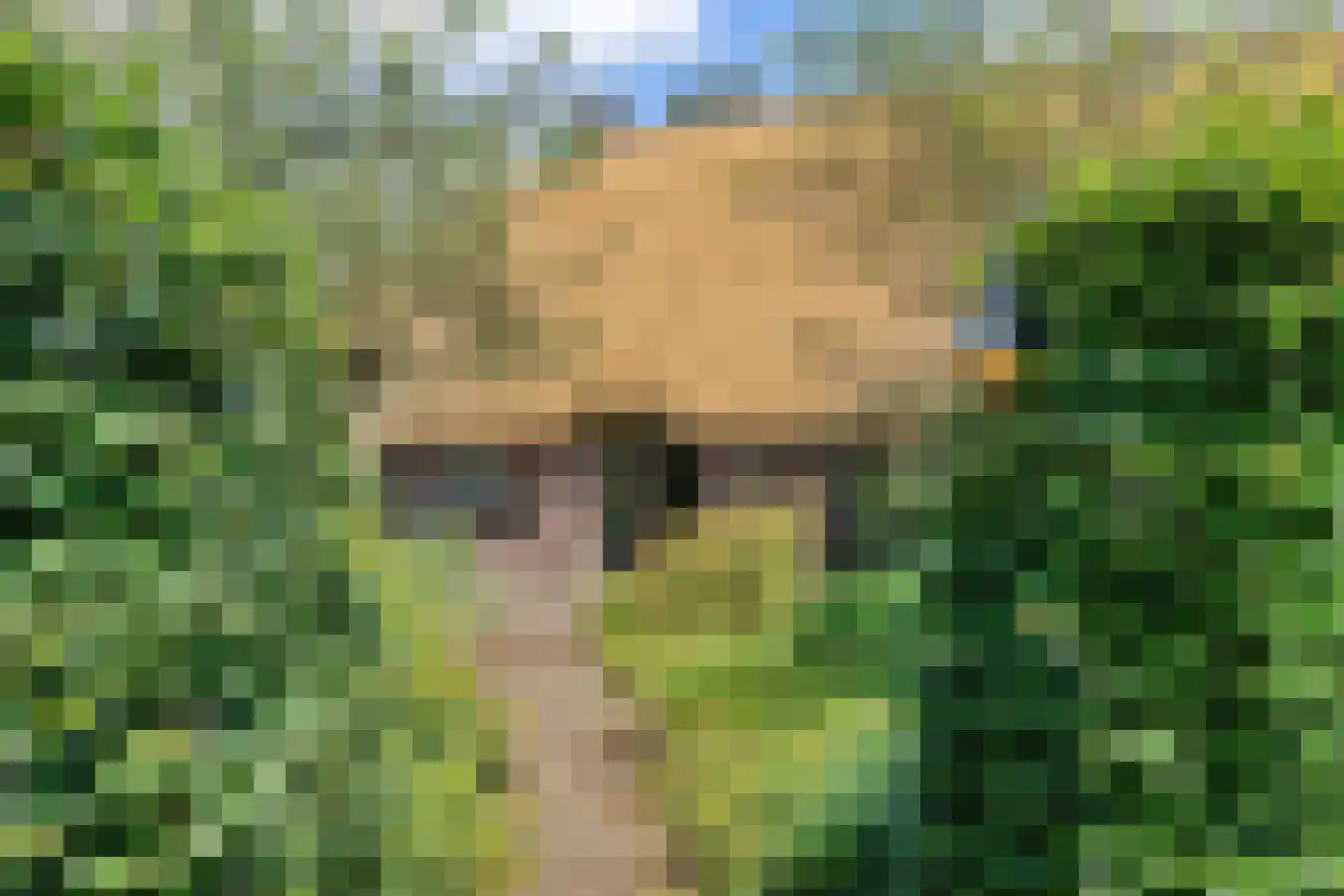 Vijzelweg 7 Eext thumbnail 6