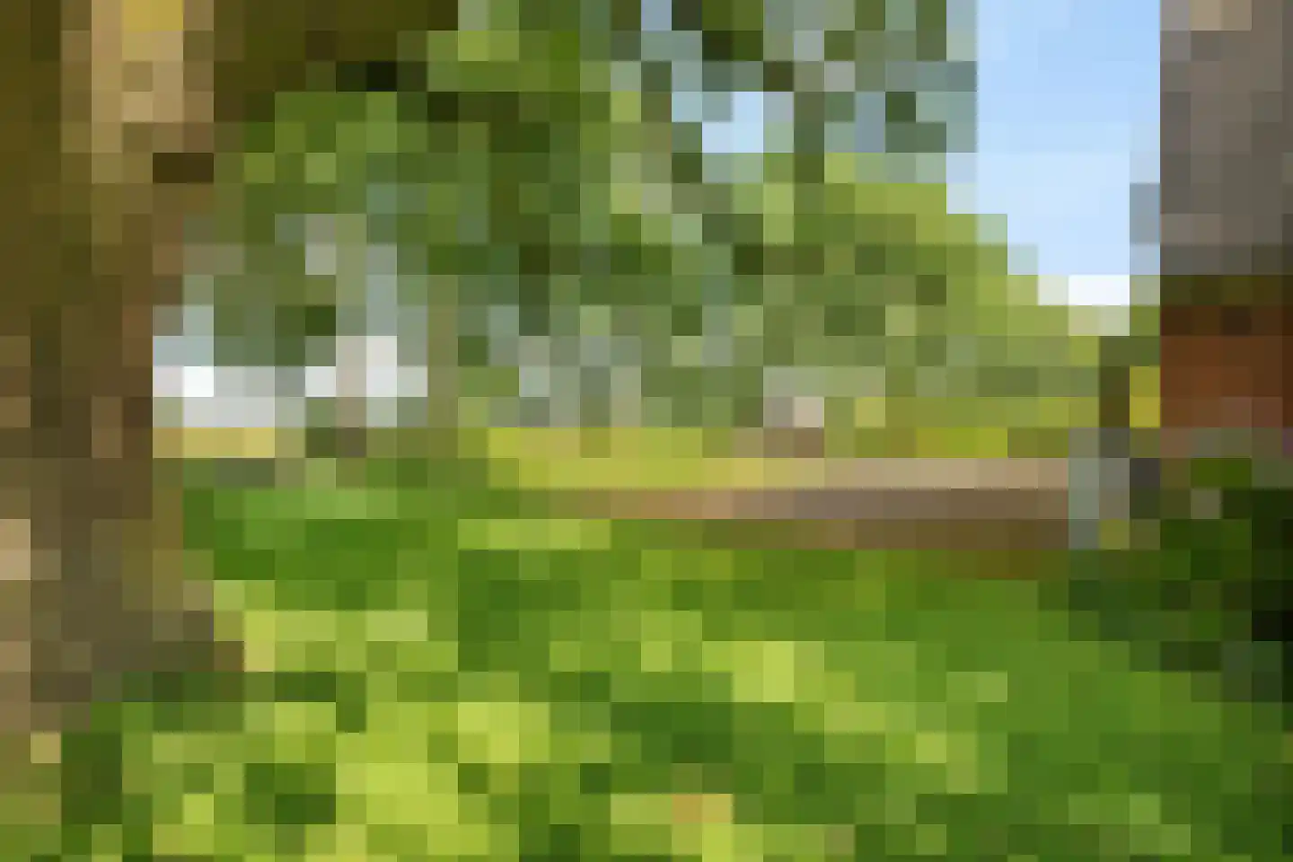 Vijzelweg 7 Eext thumbnail 60