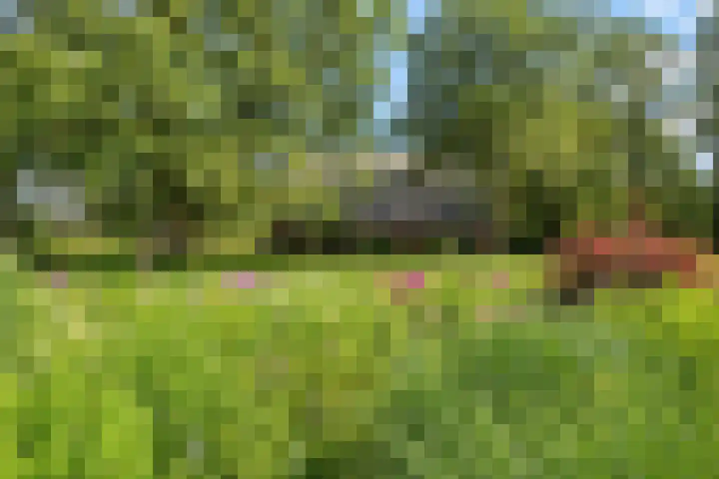 Vijzelweg 7 Eext thumbnail 63
