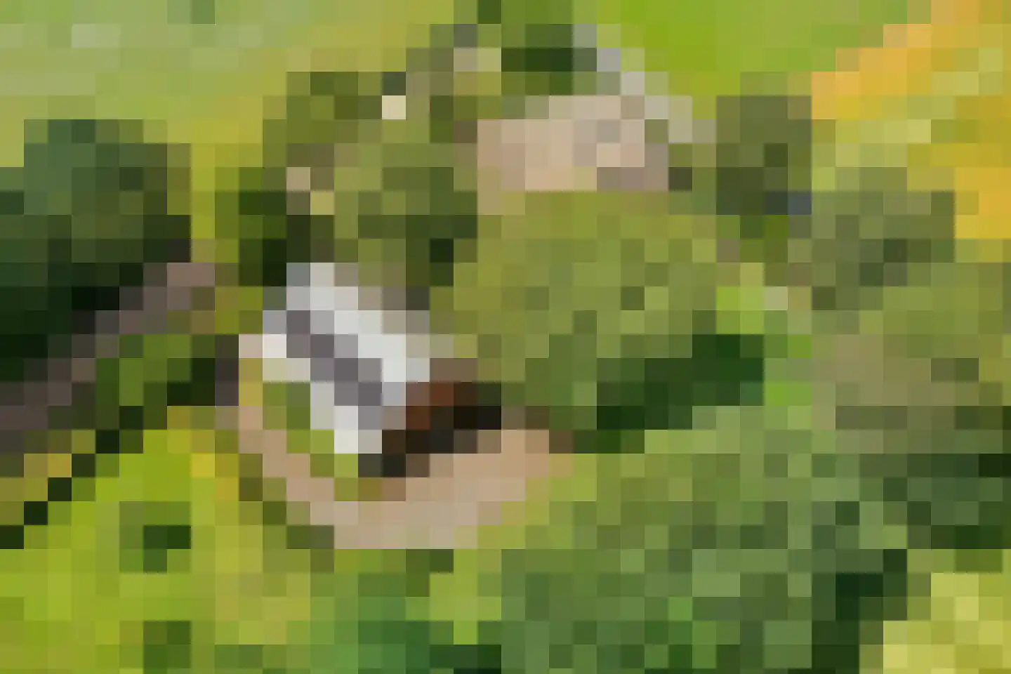 Vijzelweg 7 Eext thumbnail 65