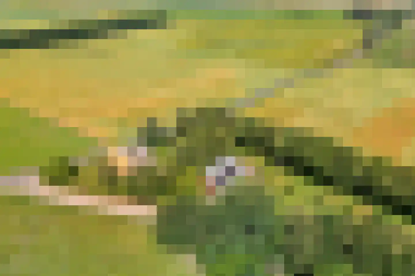 Vijzelweg 7 Eext thumbnail 69