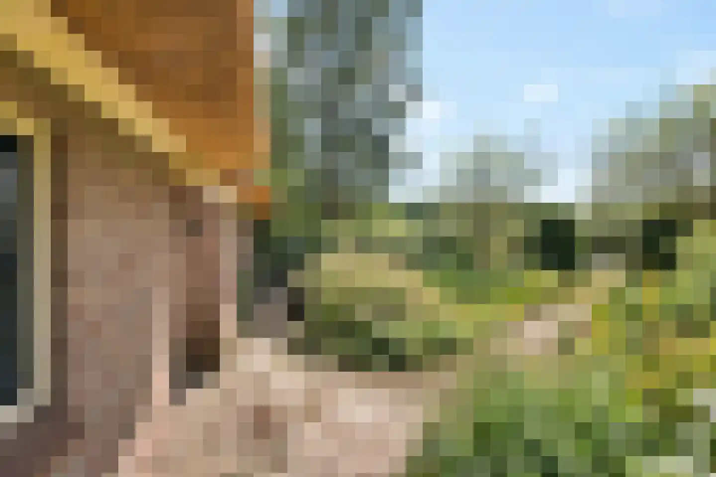 Vijzelweg 7 Eext thumbnail 7