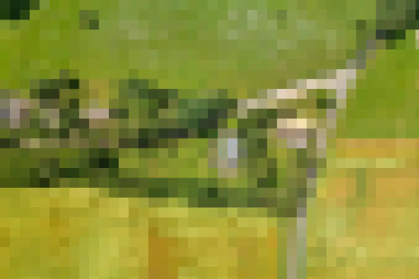 Vijzelweg 7 Eext thumbnail 70