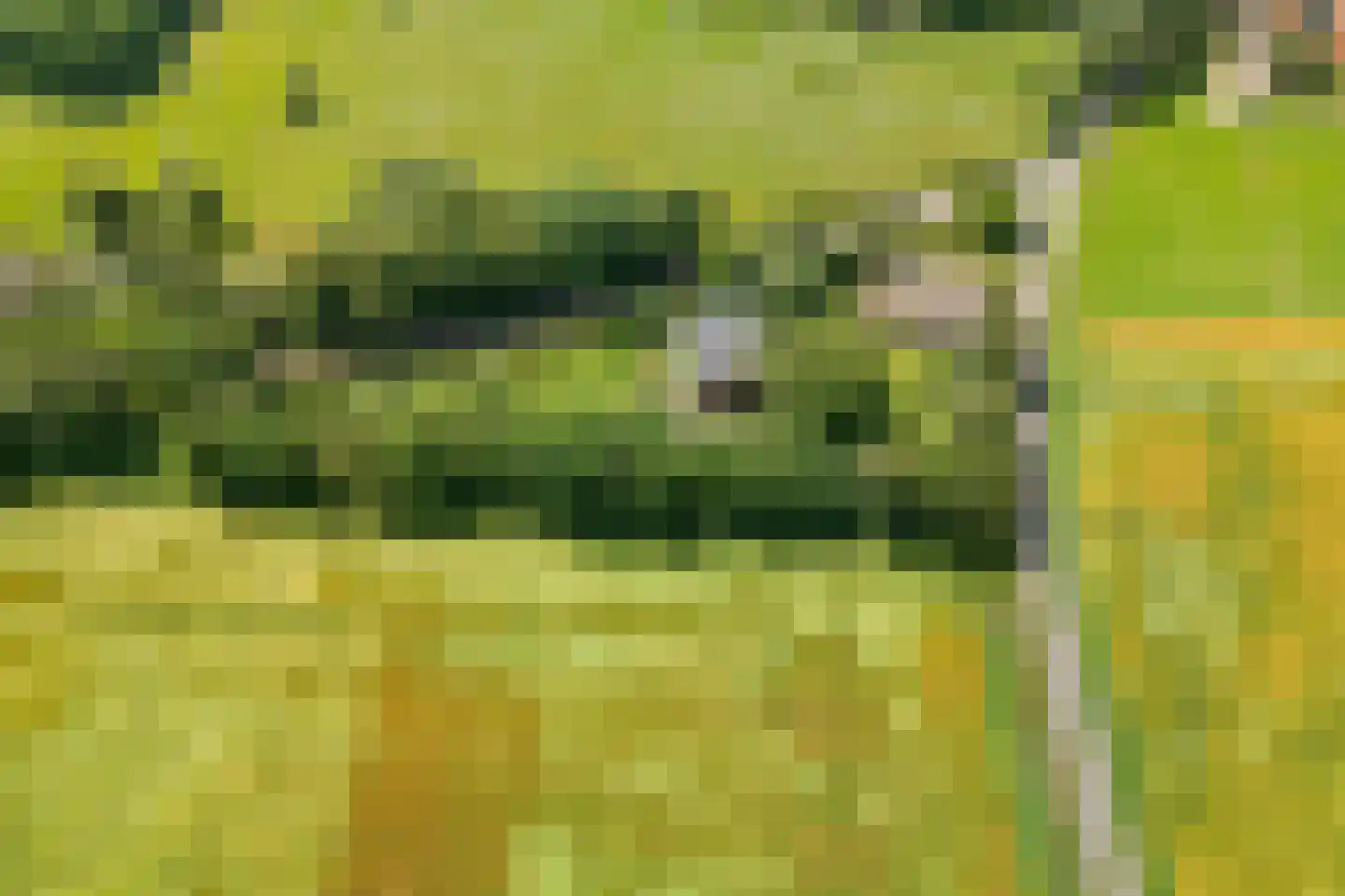 Vijzelweg 7 Eext thumbnail 71