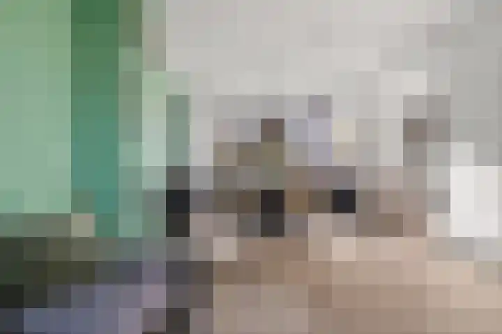 Vikarijbuorren 37 Minnertsga thumbnail 10