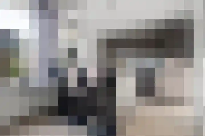 Vikarijbuorren 37 Minnertsga thumbnail 12