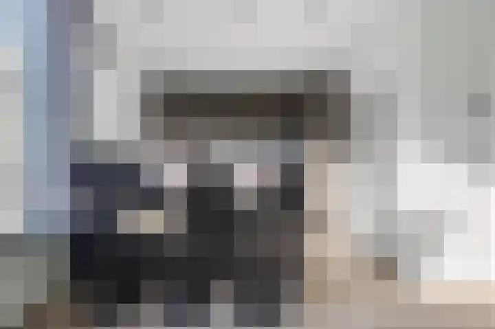 Vikarijbuorren 37 Minnertsga thumbnail 13