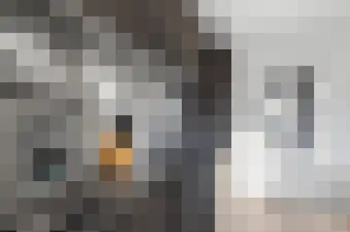 Vikarijbuorren 37 Minnertsga thumbnail 16