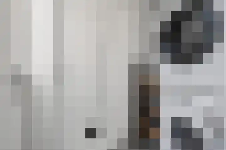 Vikarijbuorren 37 Minnertsga thumbnail 18