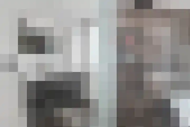Vikarijbuorren 37 Minnertsga thumbnail 29