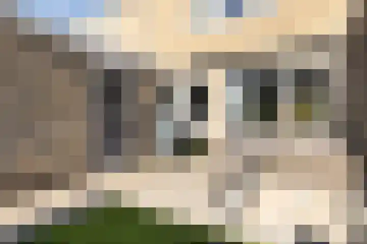 Vikarijbuorren 37 Minnertsga thumbnail 35