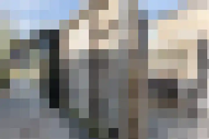 Vikarijbuorren 37 Minnertsga thumbnail 38