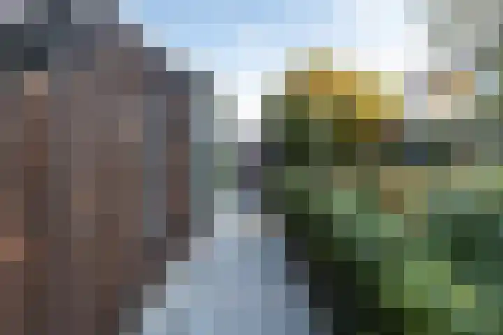 Vikarijbuorren 37 Minnertsga thumbnail 39