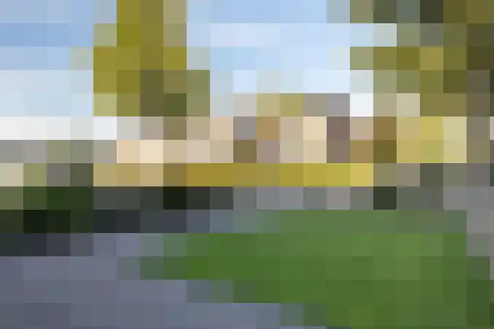 Vikarijbuorren 37 Minnertsga thumbnail 41