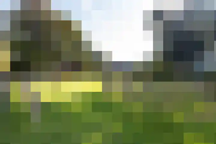 Vikarijbuorren 37 Minnertsga thumbnail 42