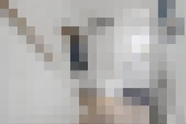 Vikarijbuorren 37 Minnertsga thumbnail 5