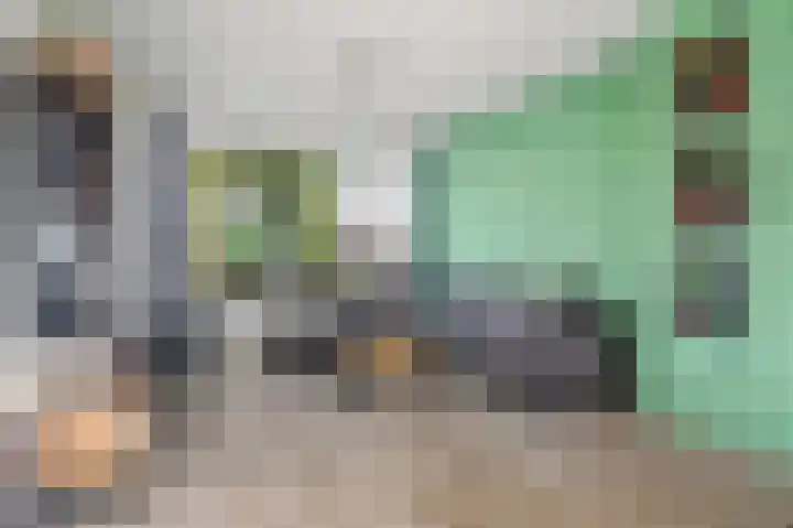 Vikarijbuorren 37 Minnertsga thumbnail 8