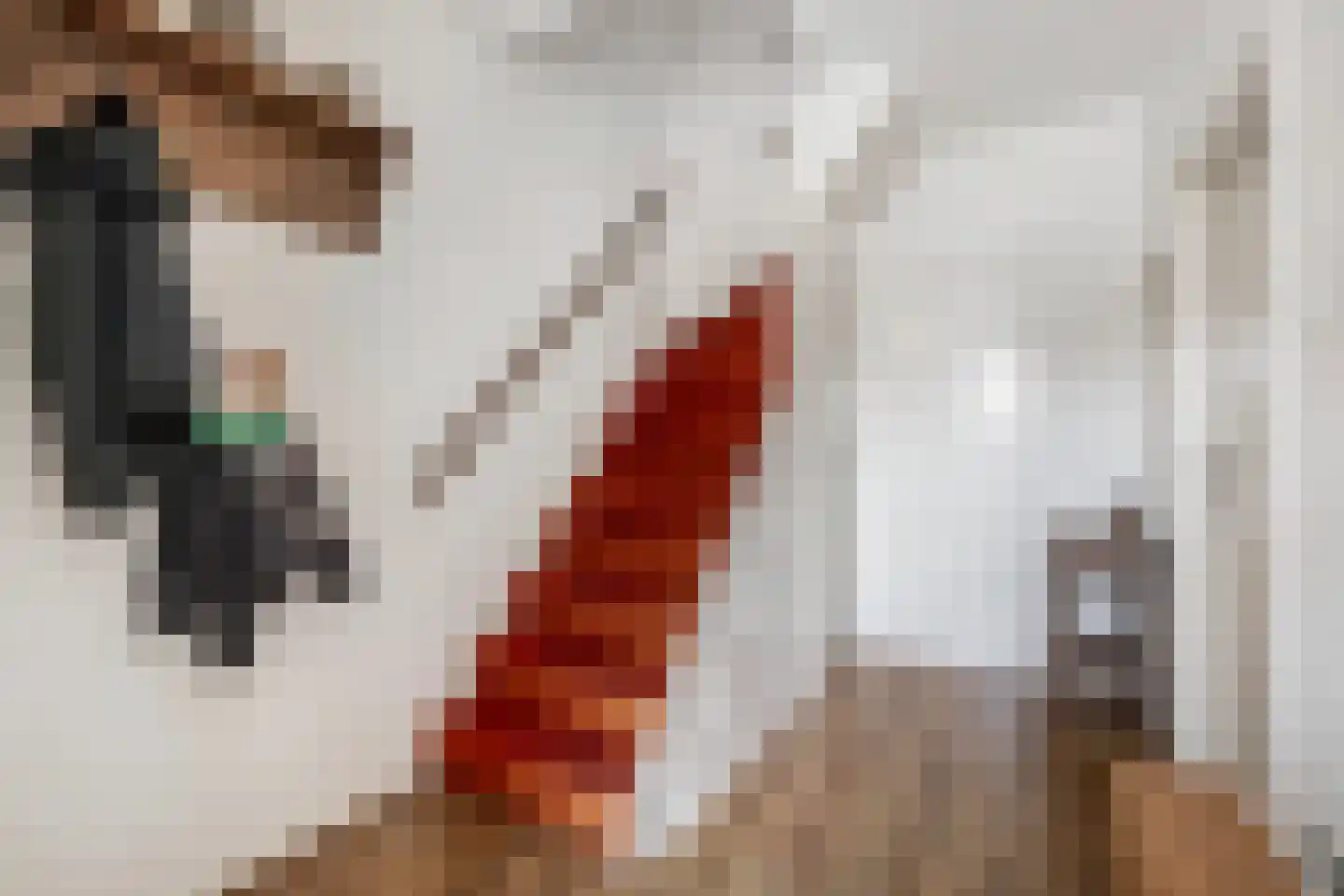 Vikarijbuorren 47 Minnertsga thumbnail 12