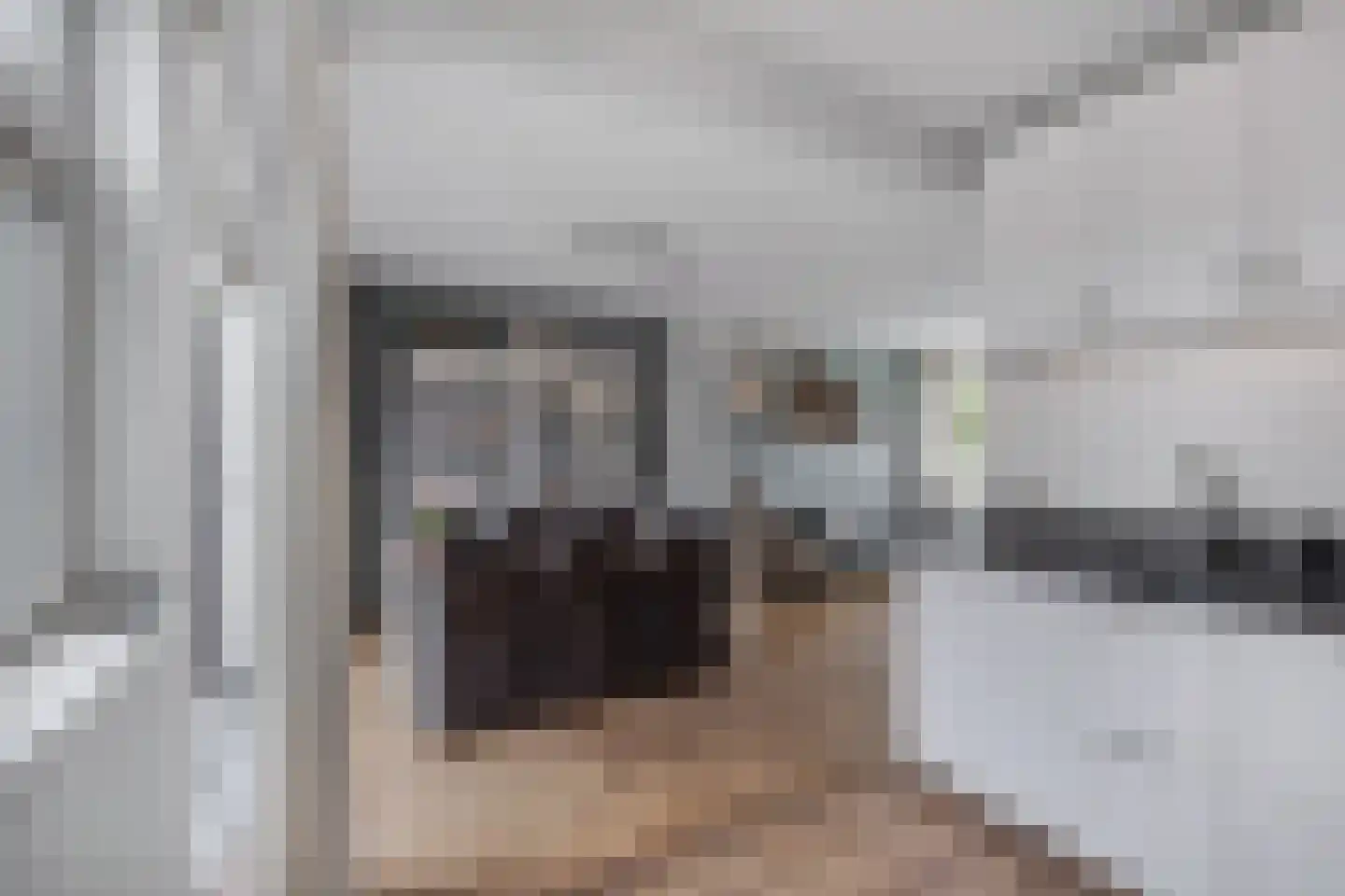 Vikarijbuorren 47 Minnertsga thumbnail 27