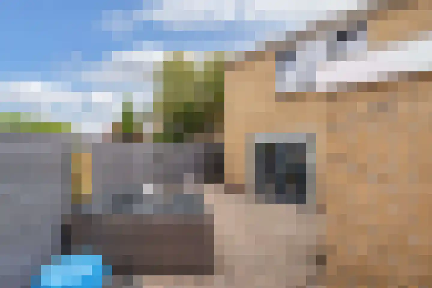 Vikarijbuorren 47 Minnertsga thumbnail 47