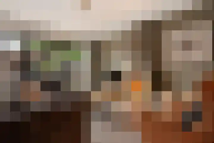 Vikingenpoort 1 c Houten thumbnail 10