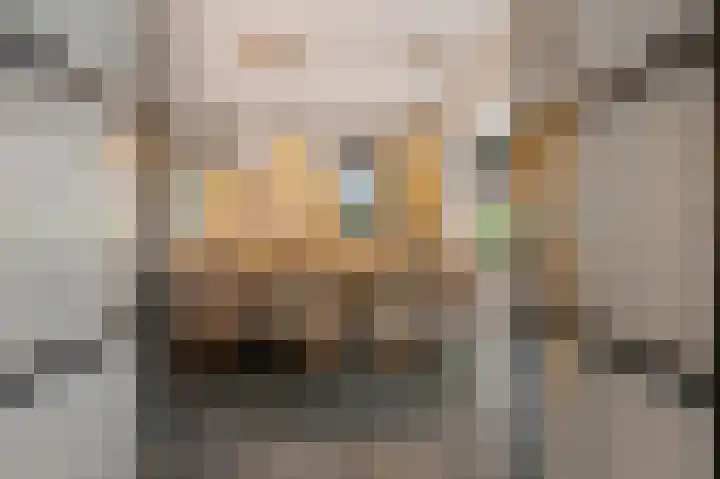 Vikingenpoort 1 c Houten thumbnail 12