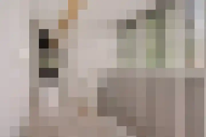 Vikingenpoort 1 c Houten thumbnail 19