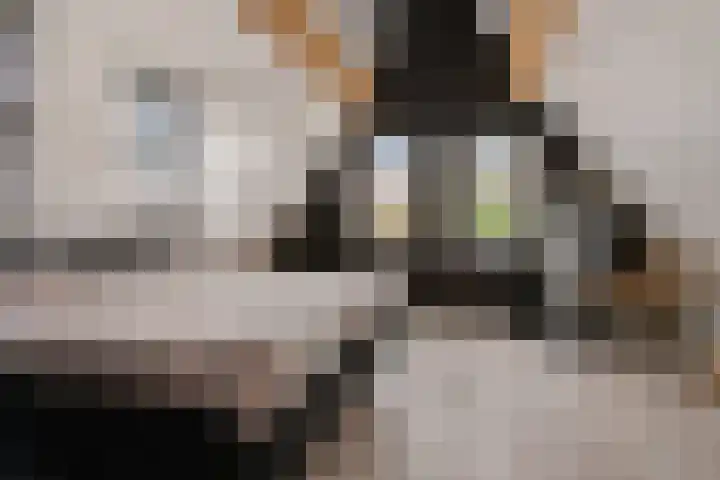 Vikingenpoort 1 c Houten thumbnail 20