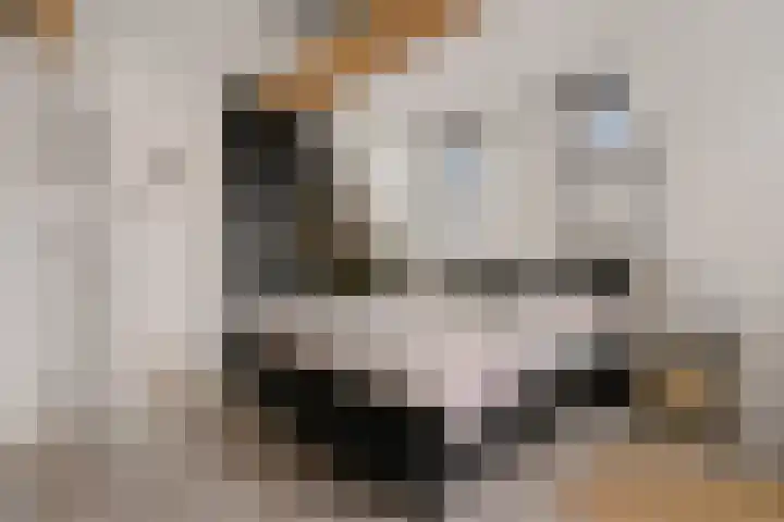 Vikingenpoort 1 c Houten thumbnail 22