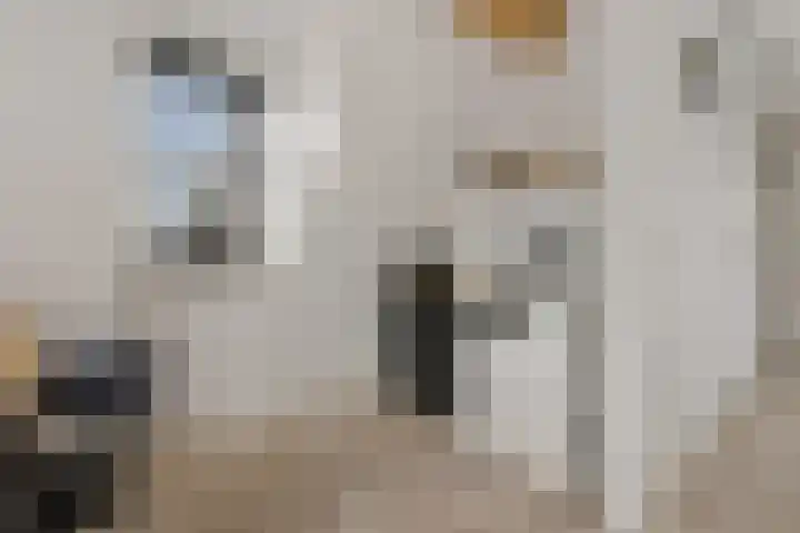 Vikingenpoort 1 c Houten thumbnail 25