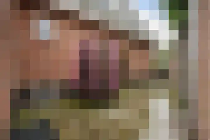 Vikingenpoort 1 c Houten thumbnail 26