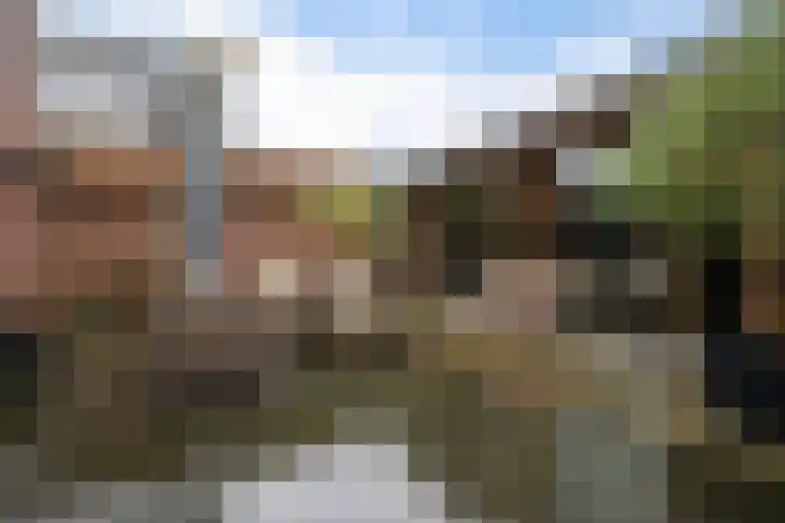 Vikingenpoort 1 c Houten thumbnail 27