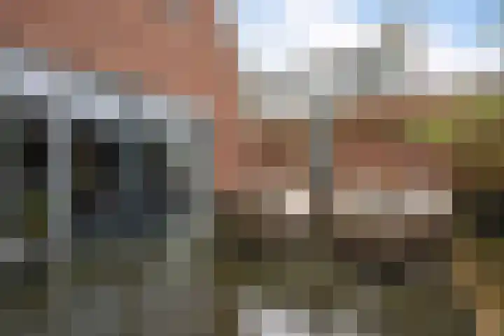 Vikingenpoort 1 c Houten thumbnail 28