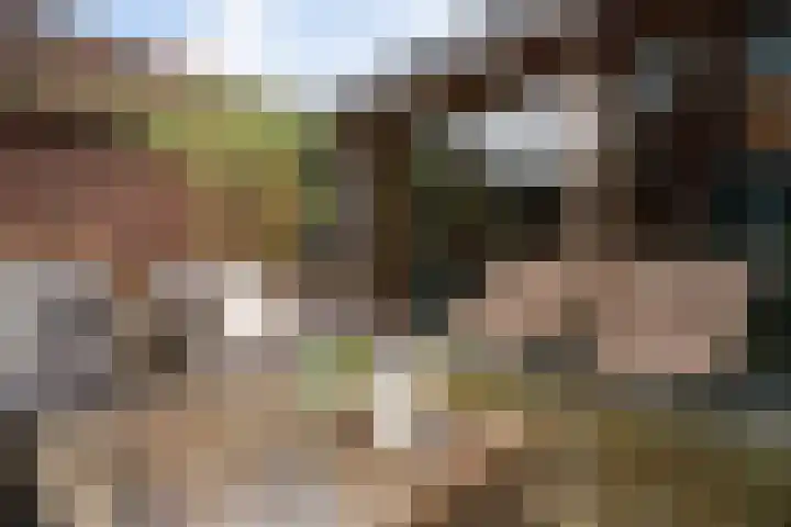 Vikingenpoort 1 c Houten thumbnail 29