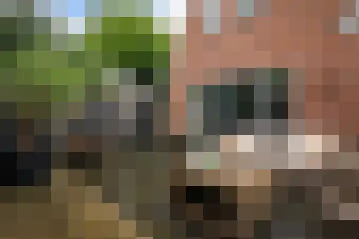 Vikingenpoort 1 c Houten thumbnail 30