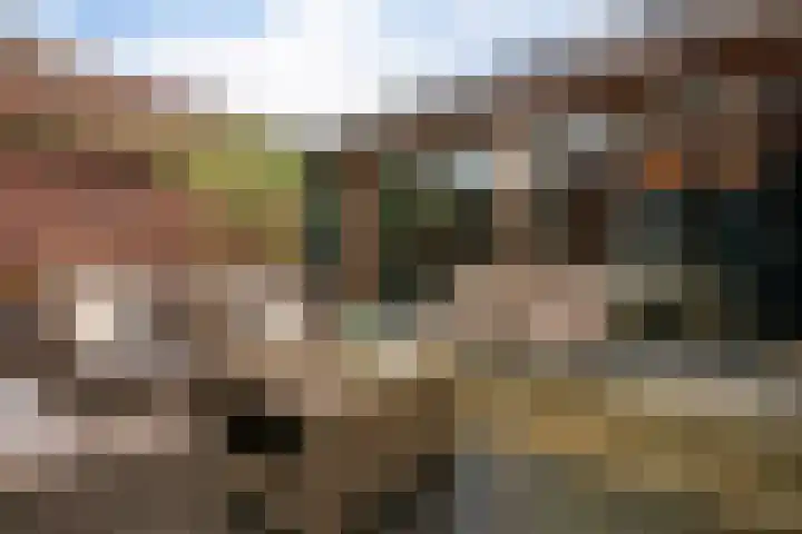 Vikingenpoort 1 c Houten thumbnail 31