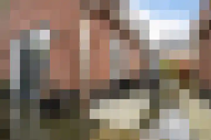 Vikingenpoort 1 c Houten thumbnail 32