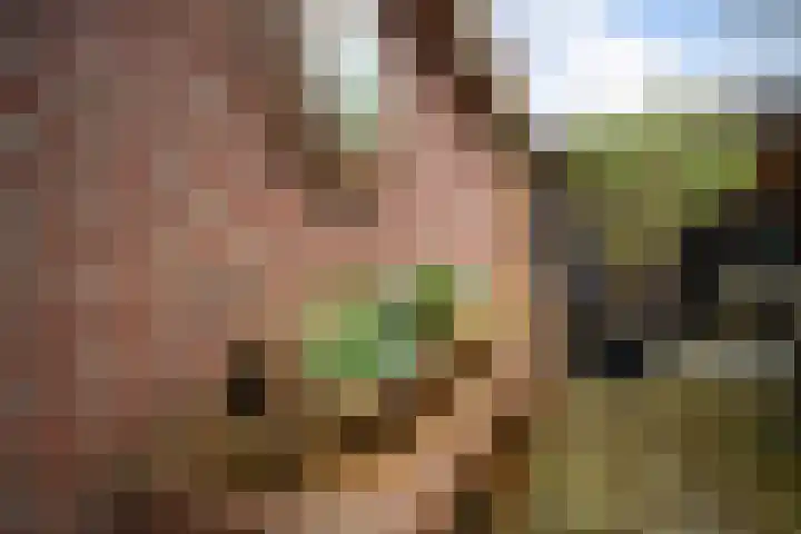 Vikingenpoort 1 c Houten thumbnail 34