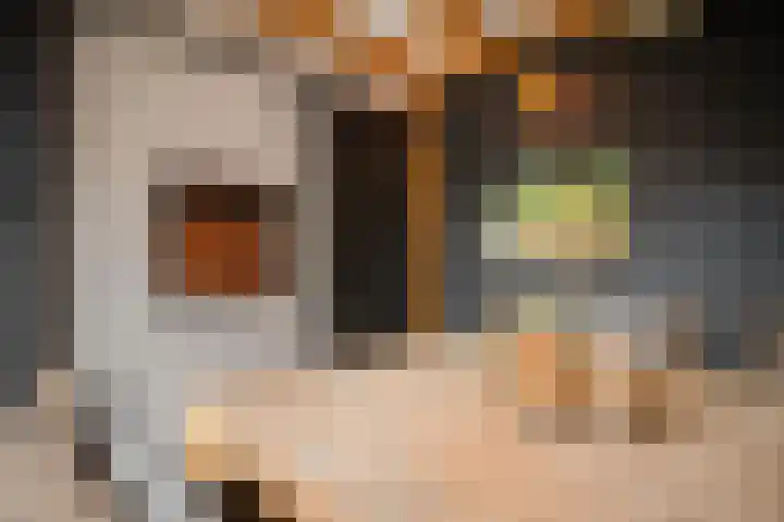 Vikingenpoort 1 c Houten thumbnail 37