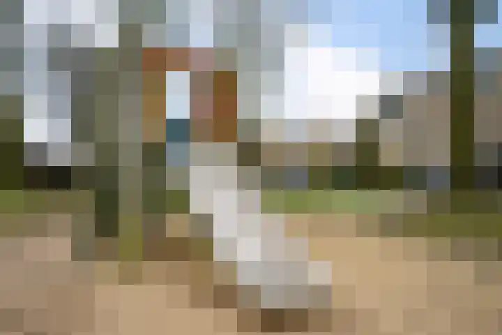 Vikingenpoort 1 c Houten thumbnail 41