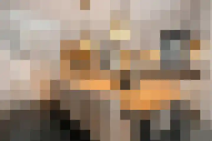 Vikingenpoort 1 c Houten thumbnail 7
